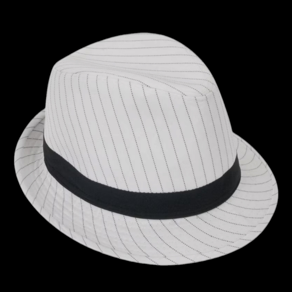 Black and White Striped Fedora